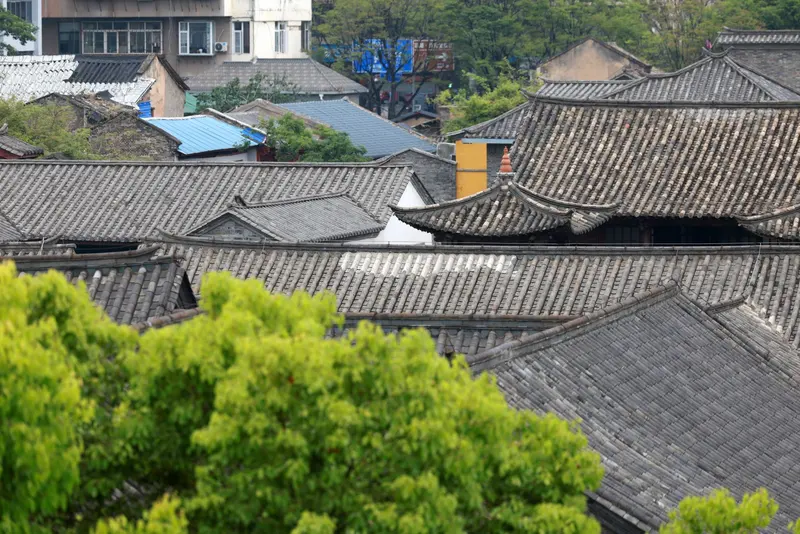 老屋的黑瓦屋頂與一棵綠樹
